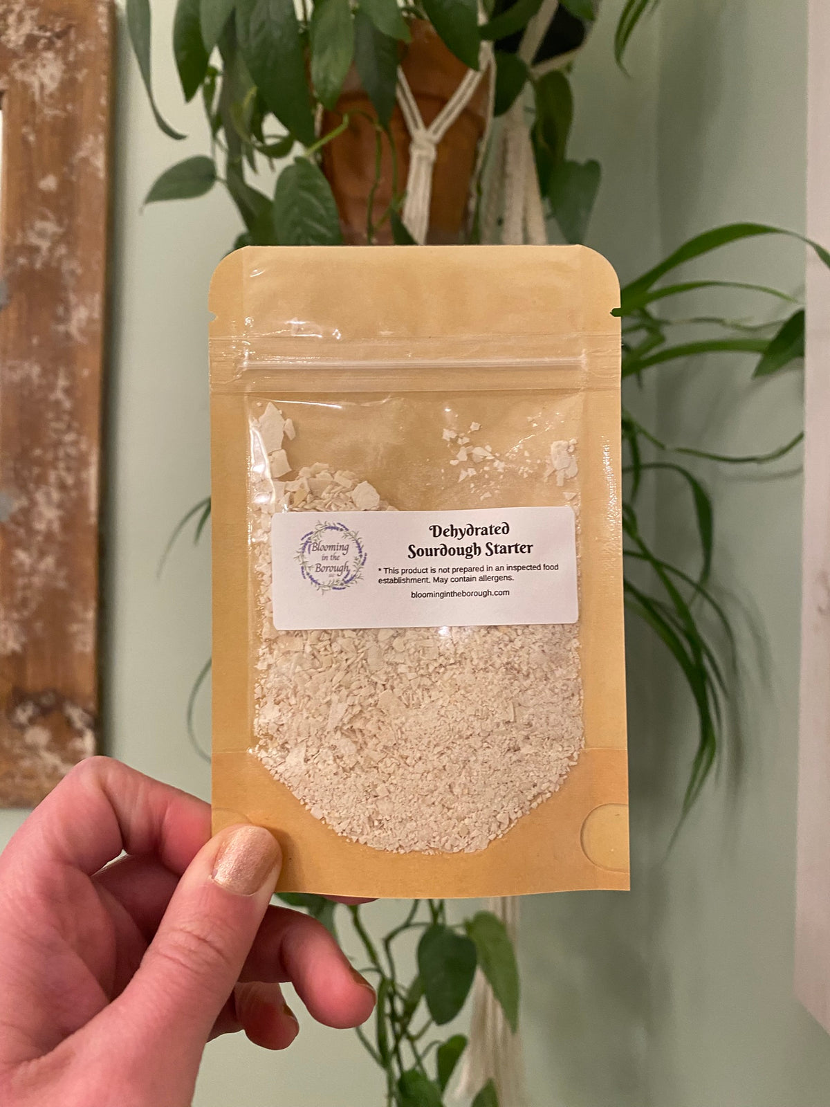 Dehydrated Sourdough Starter