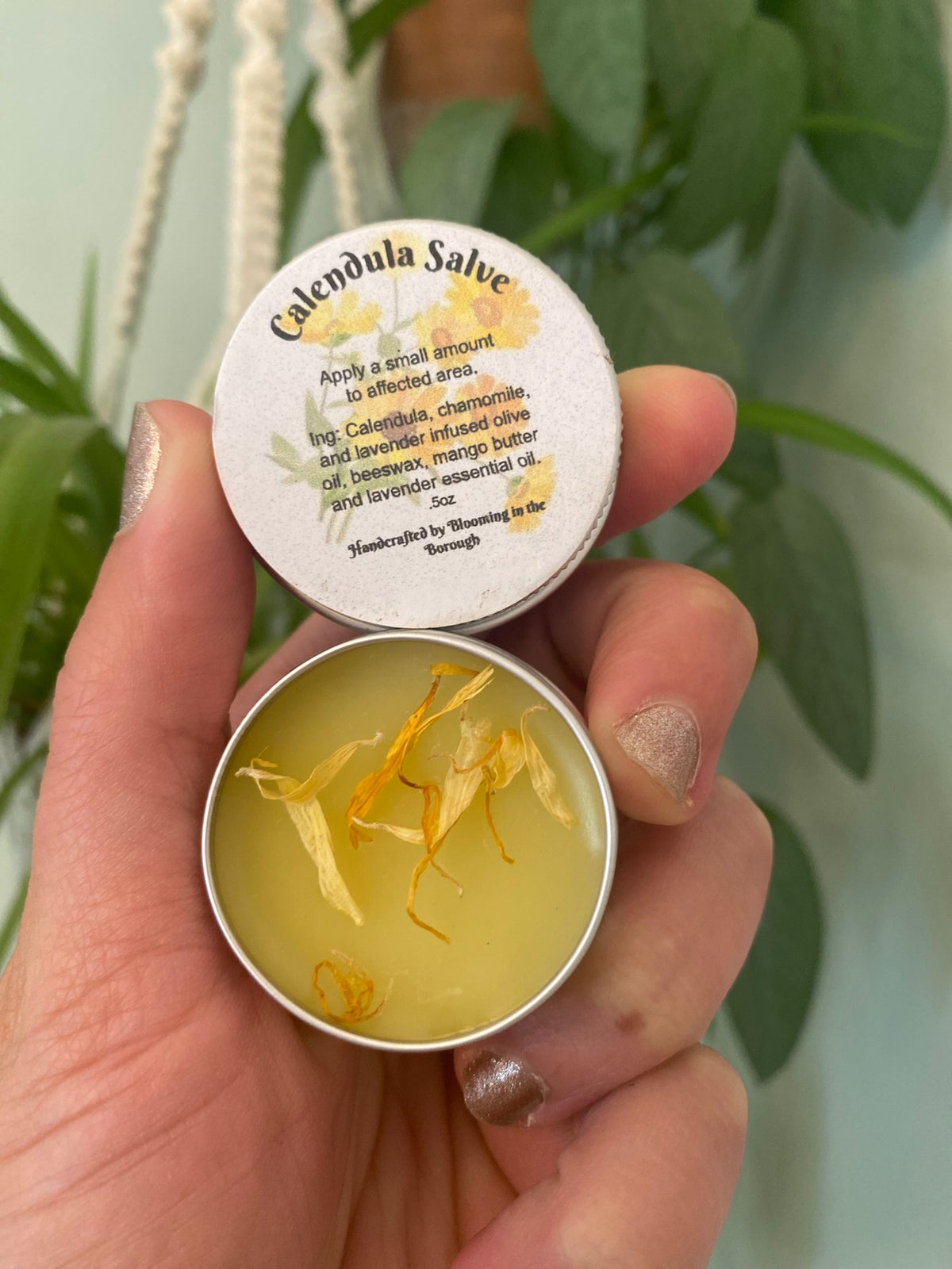 Calendula Salve