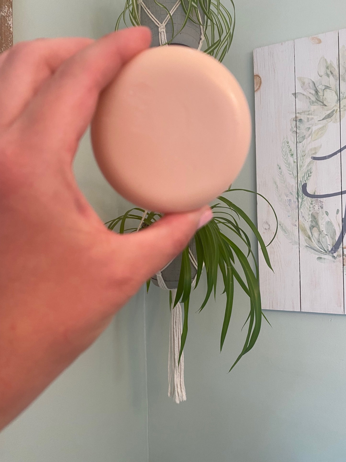 Refreshing Citrus Conditioner Bar
