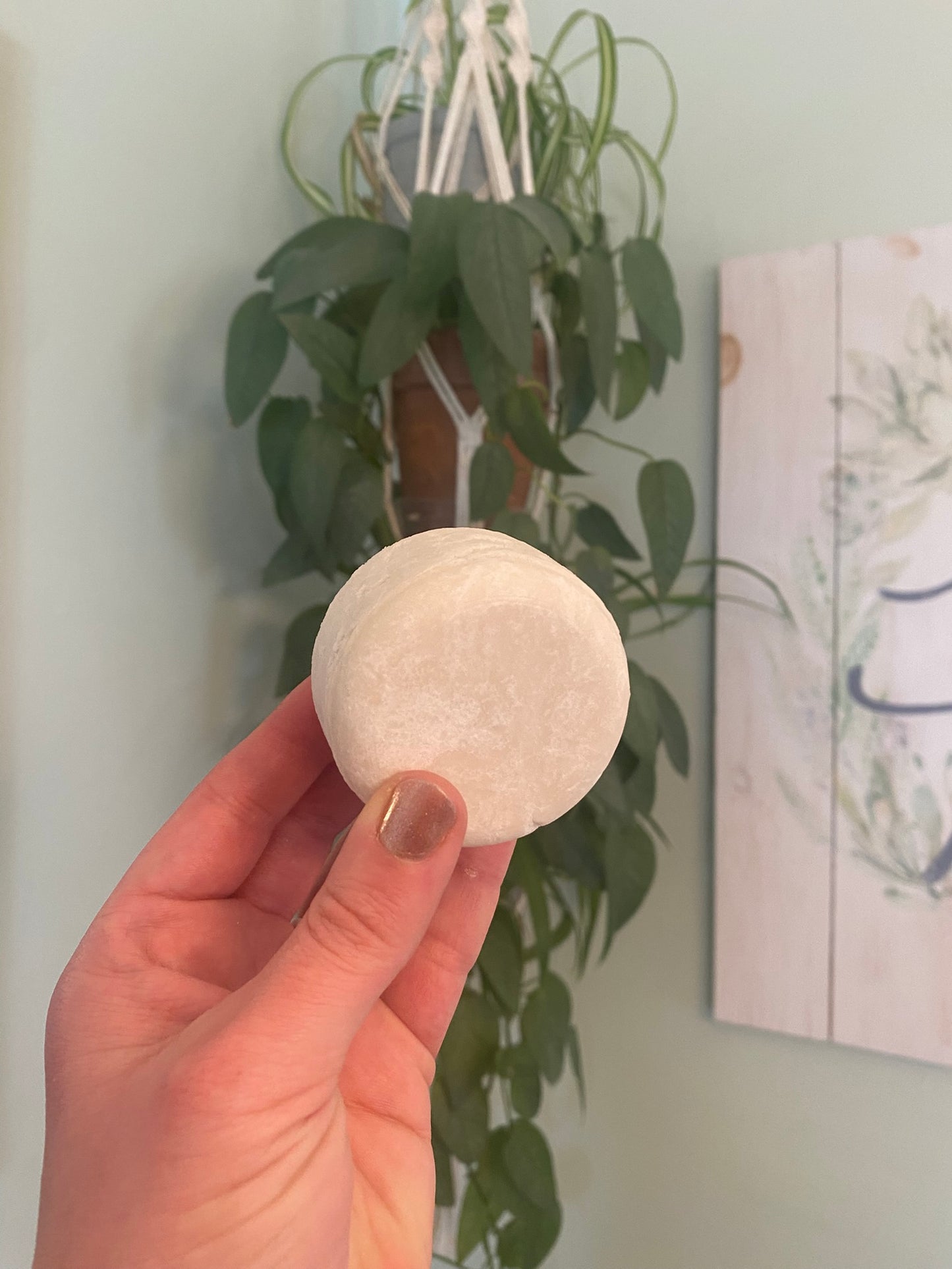 Fresh and Clean Shampoo Bar