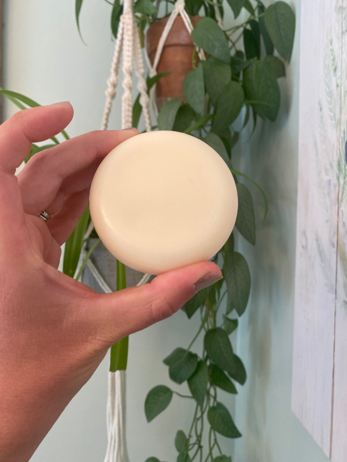 Minty Fresh Solid Conditioner Bar